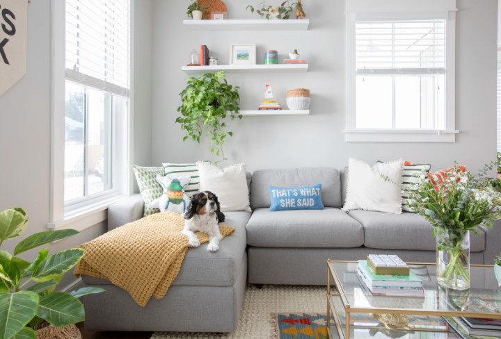 A Comprehensive Guide to Selecting and Maintaining Couch Covers for Pet Owners