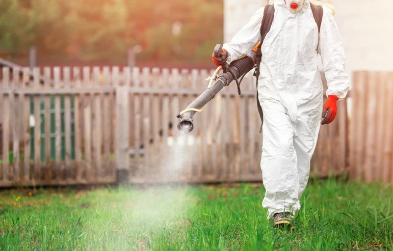 What Is Mosquito Fogging and How Does It Work