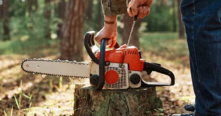 Tree Service Company Clearwater FL