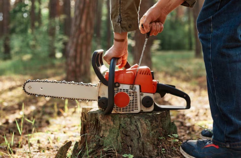 Tree Service Company Clearwater FL