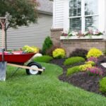 5 Ways to Improve Your Landscaping