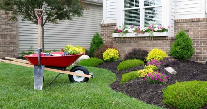 5 Ways to Improve Your Landscaping