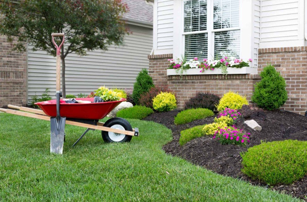 5 Ways to Improve Your Landscaping